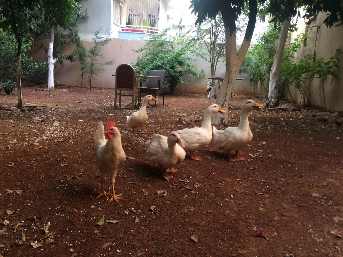 Uyar Palace Antalya Ngoại thất bức ảnh